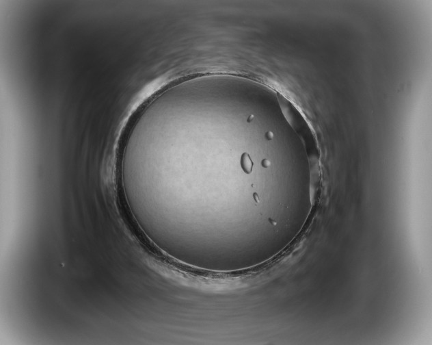 X0000087580008200704271313