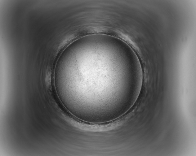 X0000087580010200704271313