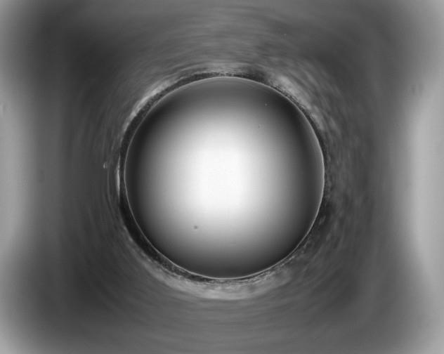 X0000087580011200704271313