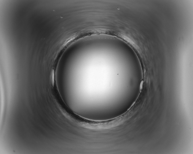 X0000087580013200704271313