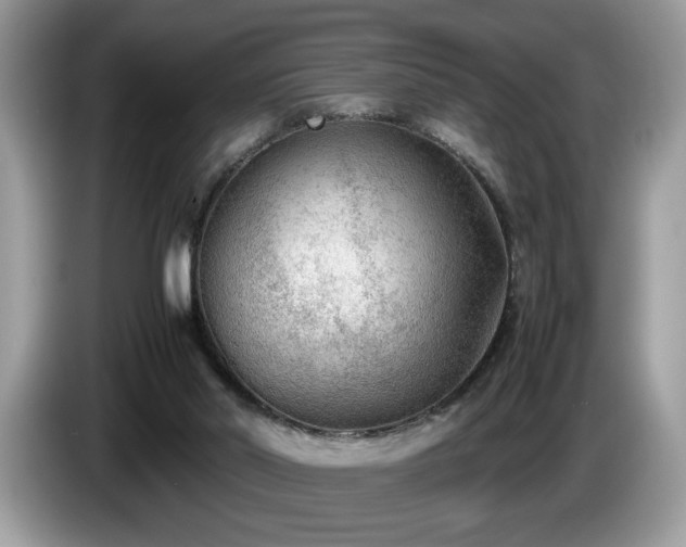 X0000087580014200704271313