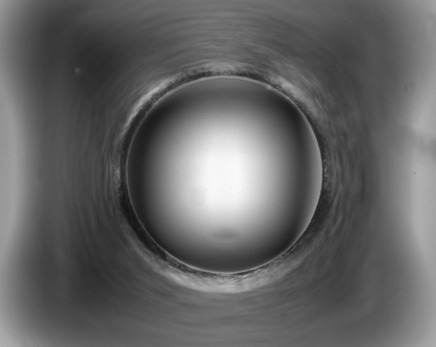 X0000087580015200704271313