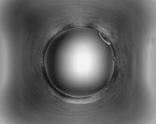 X0000087580017200704271313