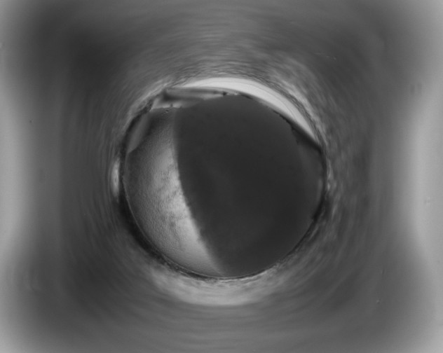 X0000087580019200704271313