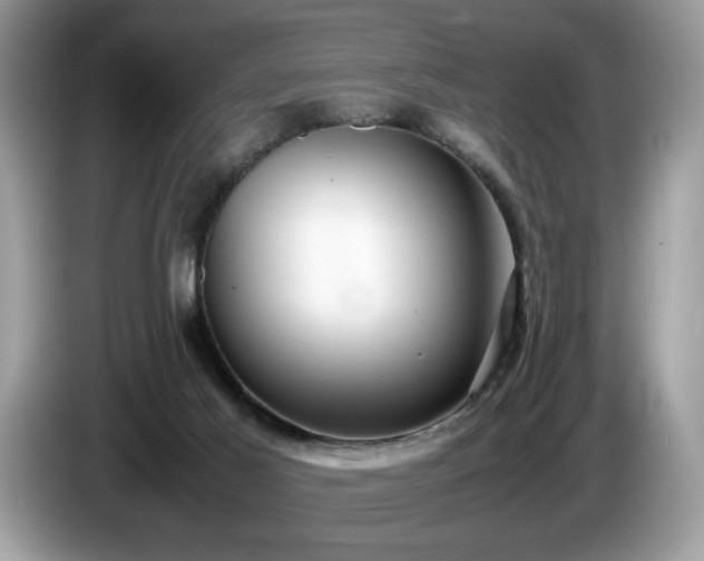 X0000087580021200704271313