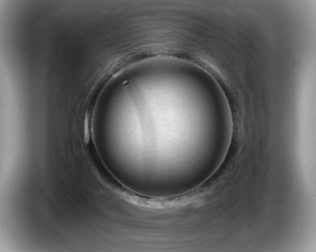 X0000087580022200704271313