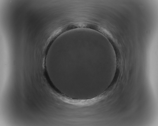 X0000087580023200704271313