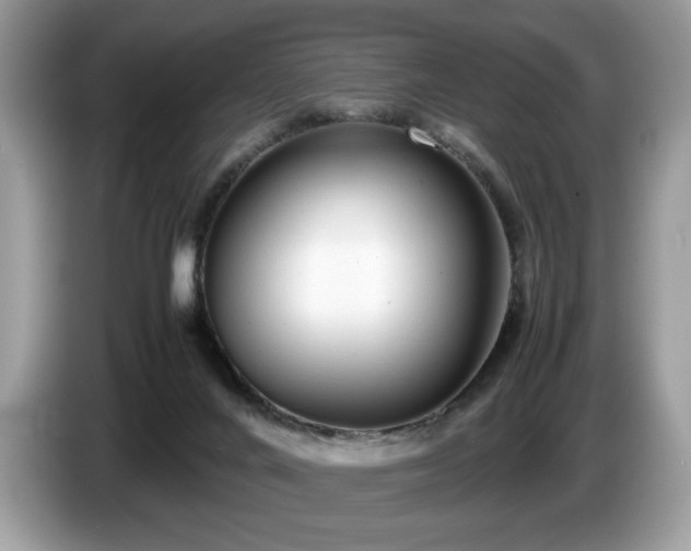 X0000087580024200704271313