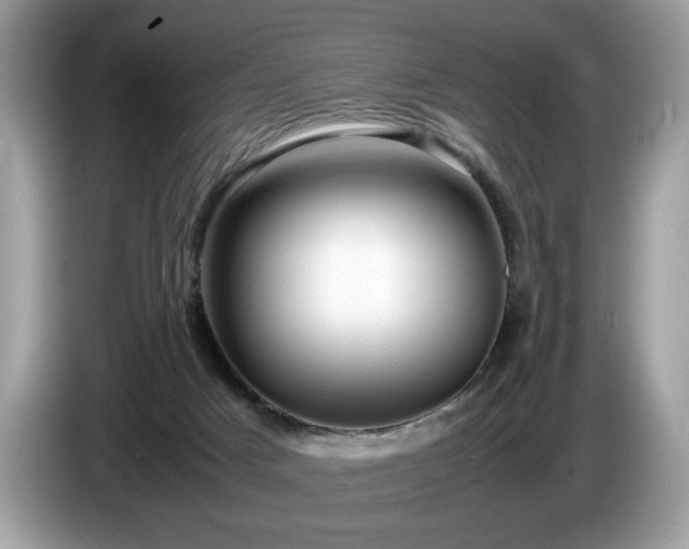 X0000087580025200704271313