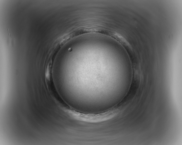 X0000087580026200704271313
