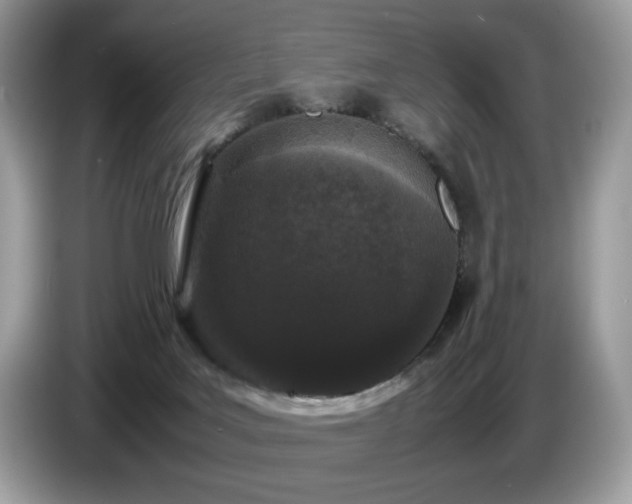 X0000087580027200704271313