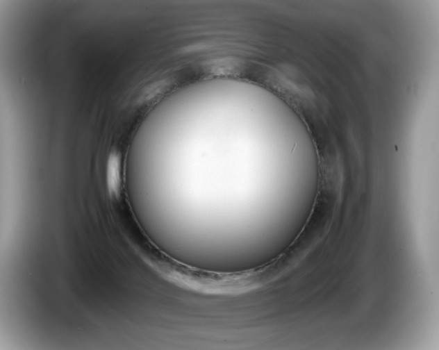 X0000087580028200704271313