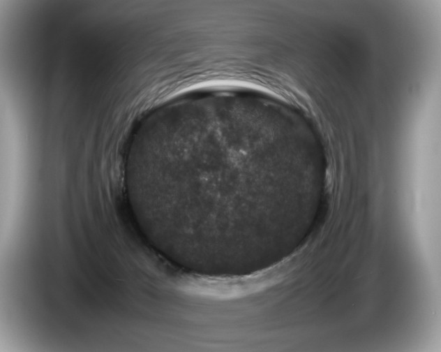 X0000087580029200704271313