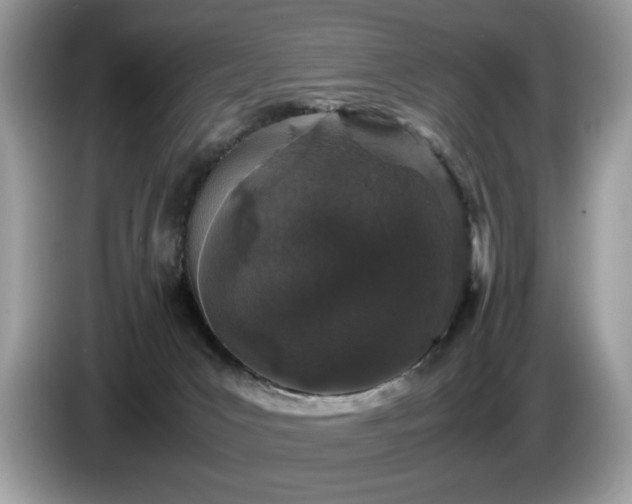 X0000087580031200704271313
