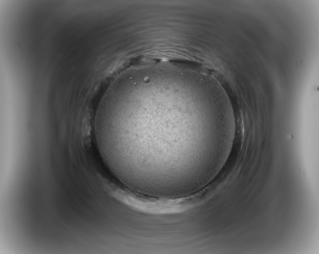X0000087580032200704271313
