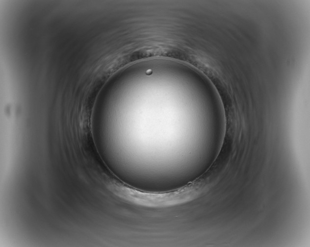 X0000087580034200704271313