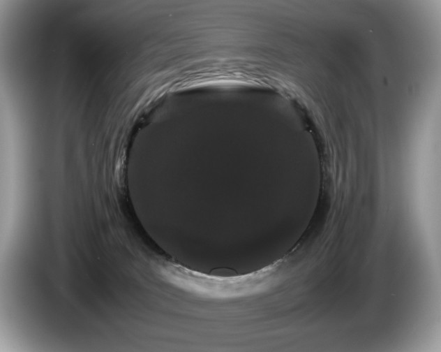 X0000087580035200704271313