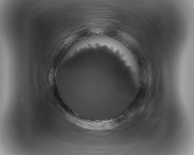 X0000087580036200704271313