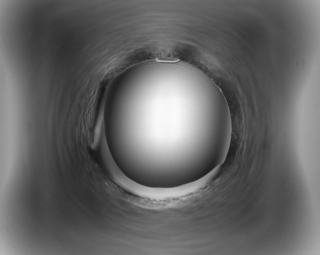 X0000087580037200704271313