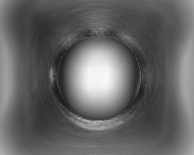 X0000087580038200704271313