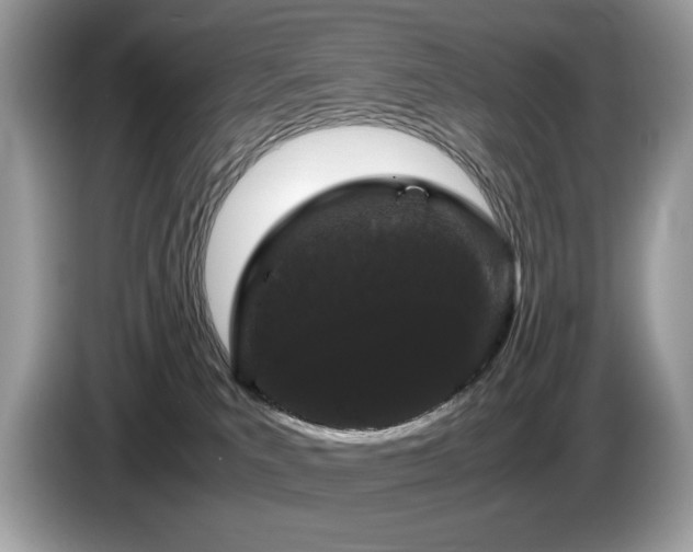 X0000087580039200704271313