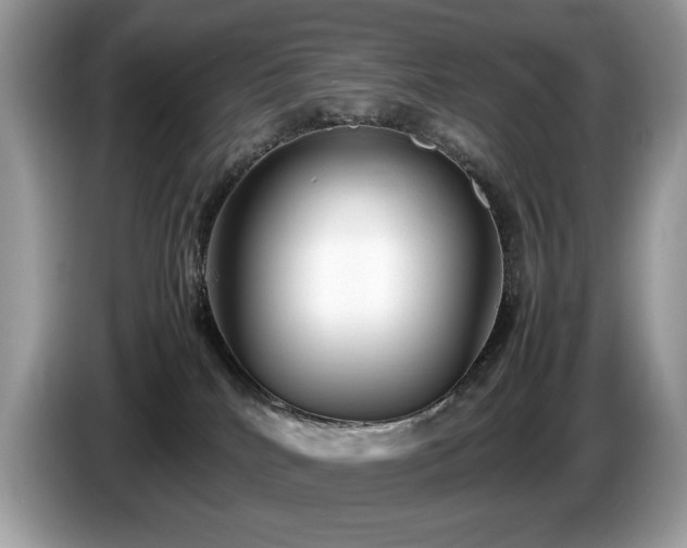 X0000087580040200704271313
