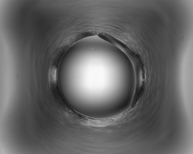 X0000087580041200704271313
