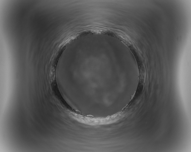 X0000087580043200704271313