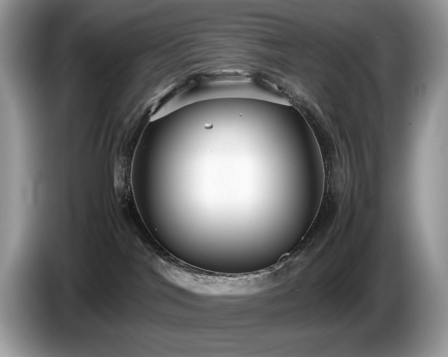 X0000087580044200704271313