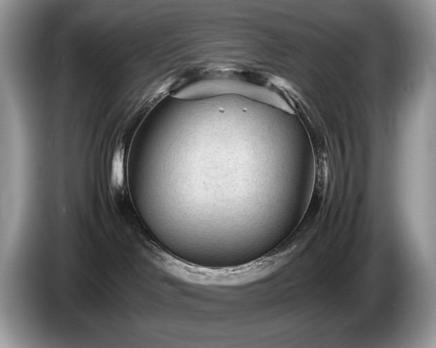 X0000087580046200704271313