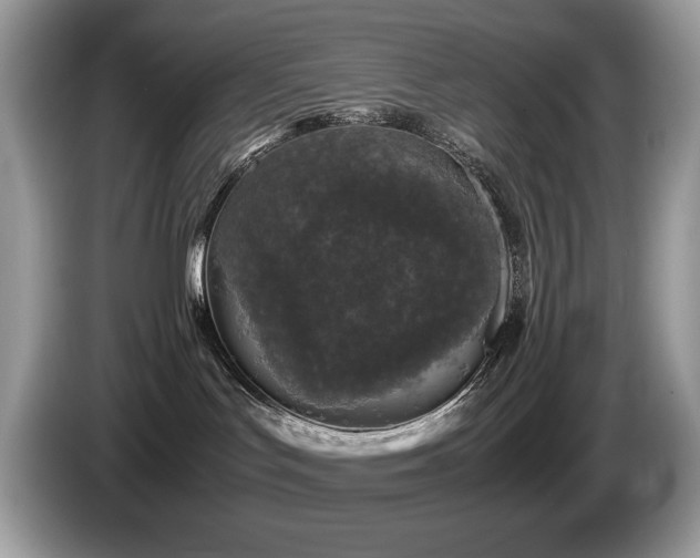 X0000087580047200704271313
