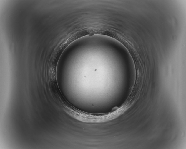 X0000087580048200704271313