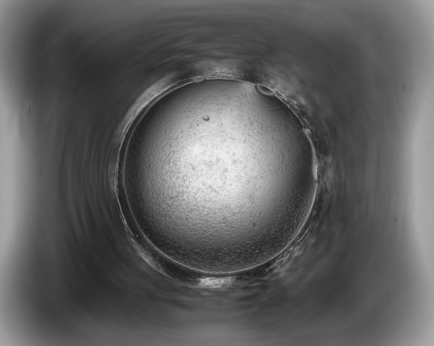 X0000087580051200704271312