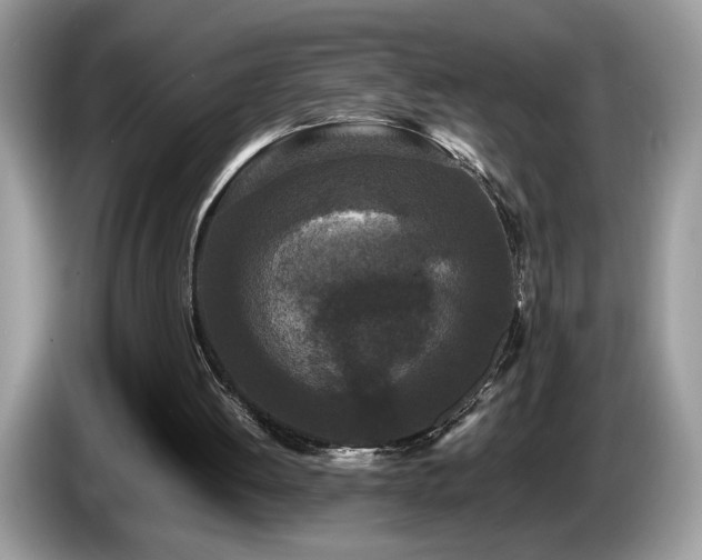 X0000087580052200704271312