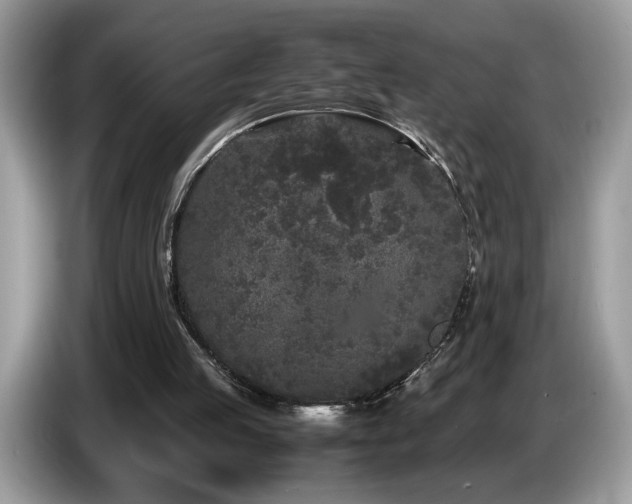 X0000087580053200704271312