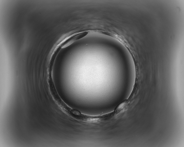 X0000087580055200704271312