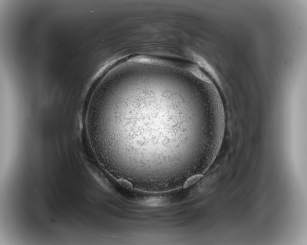 X0000087580059200704271312