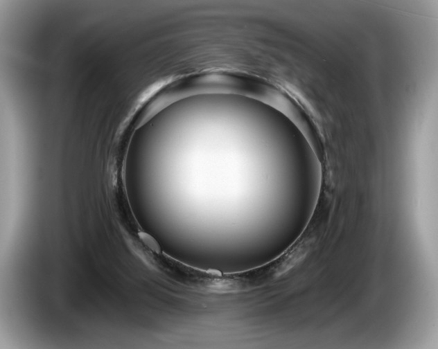 X0000087580060200704271312