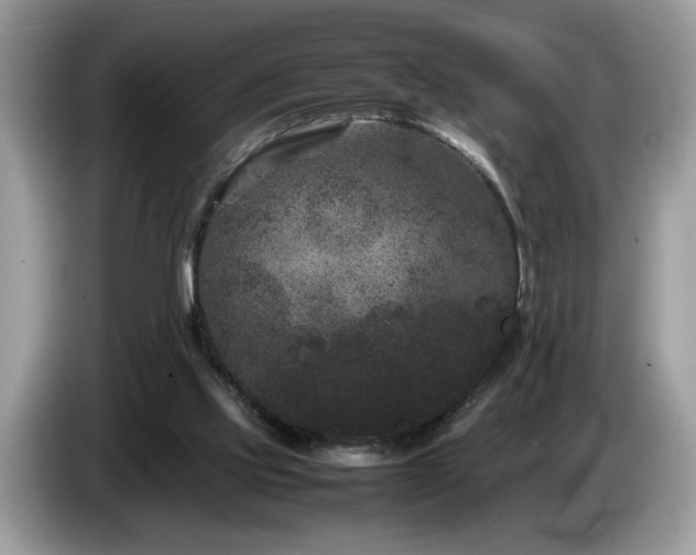 X0000087580061200704271312