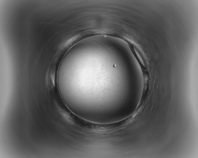 X0000087580062200704271312
