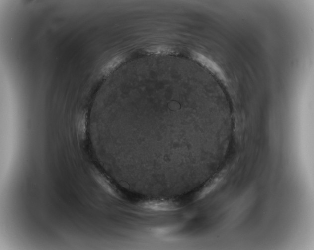 X0000087580065200704271312