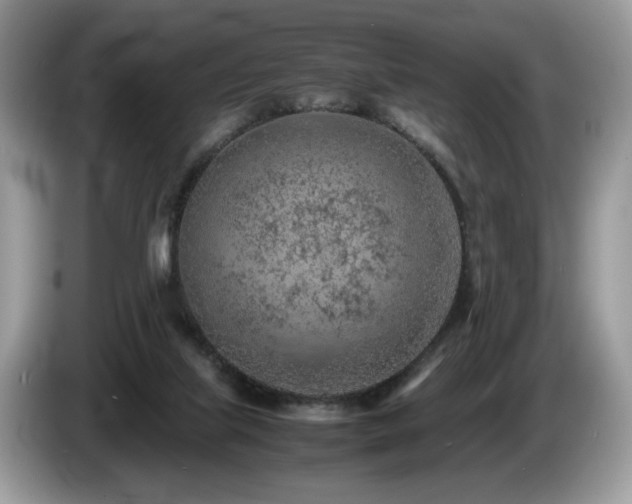 X0000087580067200704271312