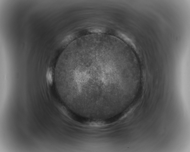 X0000087580069200704271312