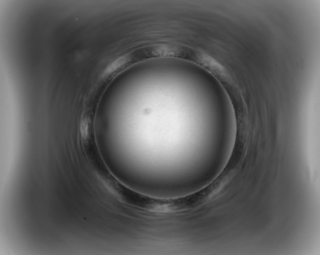 X0000087580071200704271312