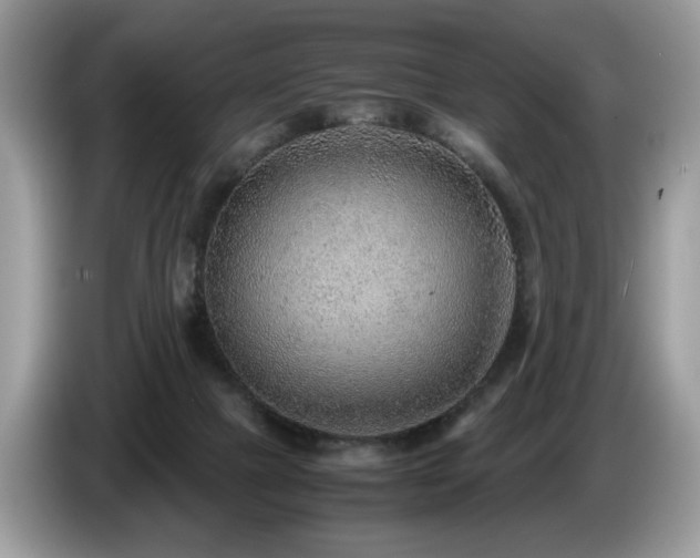 X0000087580073200704271312