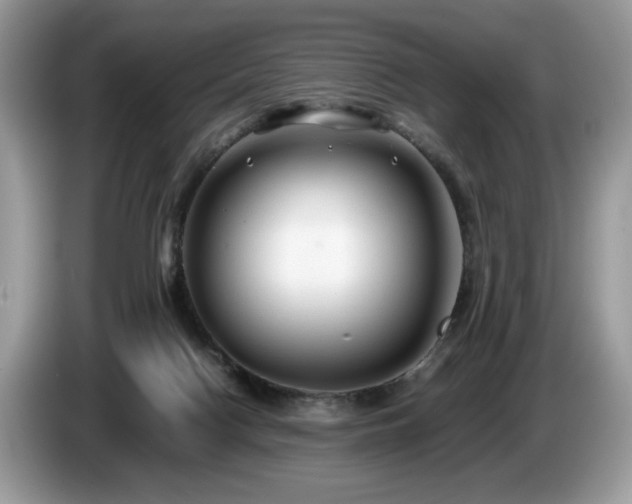 X0000087580074200704271312