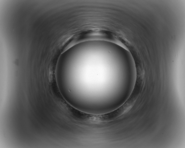 X0000087580080200704271312