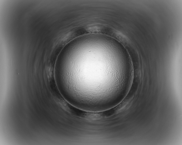 X0000087580081200704271312