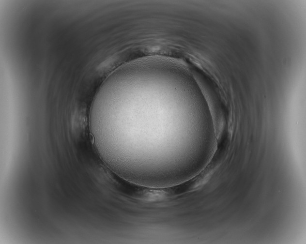 X0000087580085200704271313