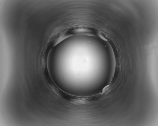 X0000087580086200704271313
